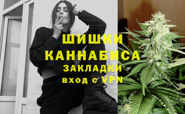 гидра Арсеньев