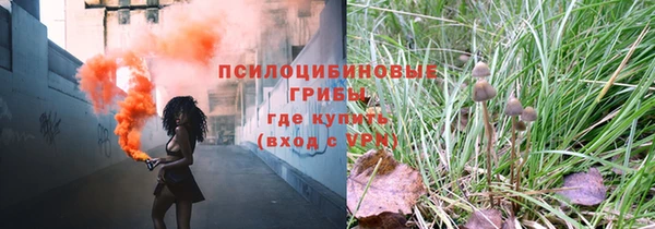 гидра Арсеньев