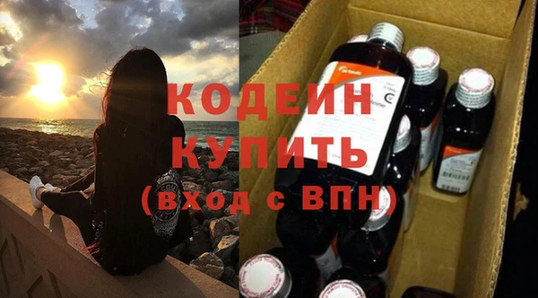 гидра Арсеньев