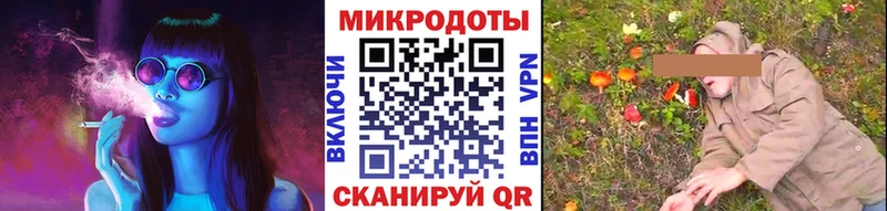 Купить  Буйнакск  Галлюциногенные грибы Psilocybine cubensis 